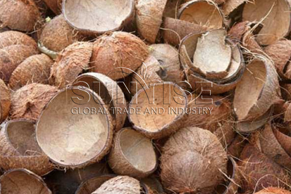 Coconut Shell Coconut Shell